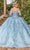 Dancing Queen 1827 - Bow Sleeve Sweetheart Ballgown Special Occasion Dress