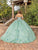 Dancing Queen 1828 - Draped Sleeve Embroidered Ballgown Special Occasion Dress