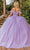 Dancing Queen 1829 - Feather Fringed Ballgown Special Occasion Dress
