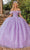 Dancing Queen 1829 - Feather Fringed Ballgown Special Occasion Dress XS / Lilac