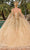 Dancing Queen 1830 - Cape Sleeve Embellished Ballgown Special Occasion Dress