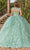 Dancing Queen 1831 - Cutout Back Embroidered Ballgown Special Occasion Dress