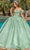 Dancing Queen 1834 - Embellished Bodice Ballgown Special Occasion Dress XS / Sage