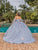 Dancing Queen 1837 - Floral Embellished Ballgown Special Occasion Dress