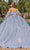 Dancing Queen 1837 - Floral Embellished Ballgown Special Occasion Dress