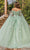 Dancing Queen 1840 - Butterfly Off Shoulder Ballgown Special Occasion Dress