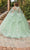 Dancing Queen 1843 - Embroidered Ballgown with Cape Special Occasion Dress