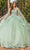 Dancing Queen 1843 - Embroidered Ballgown with Cape Special Occasion Dress XS / Sage