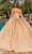 Dancing Queen 1844 - Sweetheart Lace-Up Ballgown Special Occasion Dress