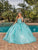 Dancing Queen 1850 - Floriated Ballgown Special Occasion Dress