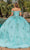 Dancing Queen 1850 - Floriated Ballgown Special Occasion Dress
