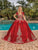 Dancing Queen 1851 - Metallic Applique Ballgown Special Occasion Dress