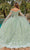 Dancing Queen 1852 - Butterfly Embellished Ballgown Special Occasion Dress