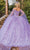 Dancing Queen 1852 - Butterfly Embellished Ballgown Special Occasion Dress