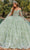 Dancing Queen 1852 - Butterfly Embellished Ballgown Special Occasion Dress XS / Sage