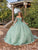 Dancing Queen 1853 - Floral Applique Illusion Ballgown Special Occasion Dress