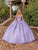 Dancing Queen 1855 - Corset Floral Applique Ballgown Special Occasion Dress