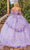 Dancing Queen 1859 - Embroidered Side Sleeve Gown Special Occasion Dress
