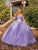 Dancing Queen 1864 - Embroidered Corset Bodice Ballgown Special Occasion Dress