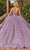 Dancing Queen 1872 - Sheer Floral Embroidered Gown Ball Gowns