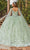 Dancing Queen 1878 - Sheer Butterfly Applique Ballgown Ball Gowns