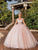 Dancing Queen 1879 - Applique Tulle Ballgown Special Occasion Dress