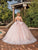 Dancing Queen 1879 - Applique Tulle Ballgown Special Occasion Dress