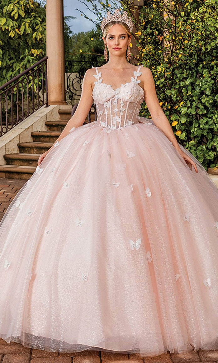 Dancing Queen 1879 - Applique Tulle Ballgown Special Occasion Dress XS / Blush