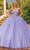 Dancing Queen 1879 - Applique Tulle Ballgown Special Occasion Dress XS / Lilac