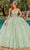 Dancing Queen 1879 - Applique Tulle Ballgown Special Occasion Dress XS / Sage