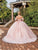 Dancing Queen 1883 - Beaded Floral Ballgown Special Occasion Dress