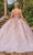 Dancing Queen 1894 - Floral Adorned Ballgown Special Occasion Dress