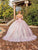 Dancing Queen 1895 - Floral Applique Embroidered Gown Special Occasion Dress