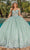 Dancing Queen 1897 - Butterfly Detailed Ballgown Special Occasion Dress XS / Sage