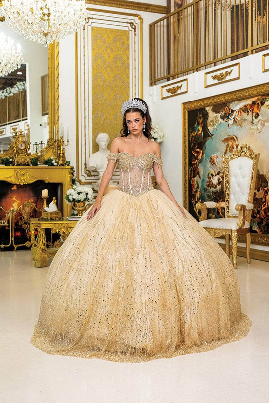 Dancing Queen 1982 - Sequined Illusion Corset Ballgown