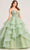 Ellie Wilde EW35206 - Rhinestone Embellished Lace-Up Back Ballgown Ball Gowns 00 / Sage