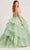 Ellie Wilde EW35206 - Rhinestone Embellished Lace-Up Back Ballgown Ball Gowns
