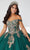 Fiesta Gowns 56461 - Floral Appliqued Quinceanera Dress Quinceanera Dresses