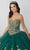 Fiesta Gowns 56468 - Strapless Highly Embellished Gown Ball Gowns
