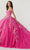 Fiesta Gowns 56471 - Intricately Embellished Voluminous Dress Quinceanera Dresses 0 / Party Pink