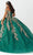 Fiesta Gowns 56471 - Intricately Embellished Voluminous Dress Quinceanera Dresses
