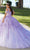 Fiesta Gowns 56482 - Floral Applique Tulle Ballgown Ball Gowns