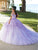 Fiesta Gowns 56482 - Floral Applique Tulle Ballgown Special Occasion Dress