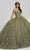 Fiesta Gowns 56484 - Embroidery Floral Ball Gown Ball Gowns 0 / Sage