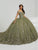 Fiesta Gowns 56484 - Embroidery Floral Ball Gown Special Occasion Dress