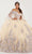 Fiesta Gowns 56491 - Embroidered Sleeveless Ballgown Ball Gowns 0 / Champagne Multi