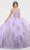 Fiesta Gowns 56491 - Embroidered Sleeveless Ballgown Ball Gowns