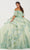 Fiesta Gowns 56492 - Off-Shoulder Embroidered Ballgown Ball Gowns 0 / Meadow/Seafoam