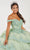 Fiesta Gowns 56492 - Off-Shoulder Embroidered Ballgown Ball Gowns