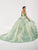 Fiesta Gowns 56492 - Off-Shoulder Embroidered Ballgown Special Occasion Dress